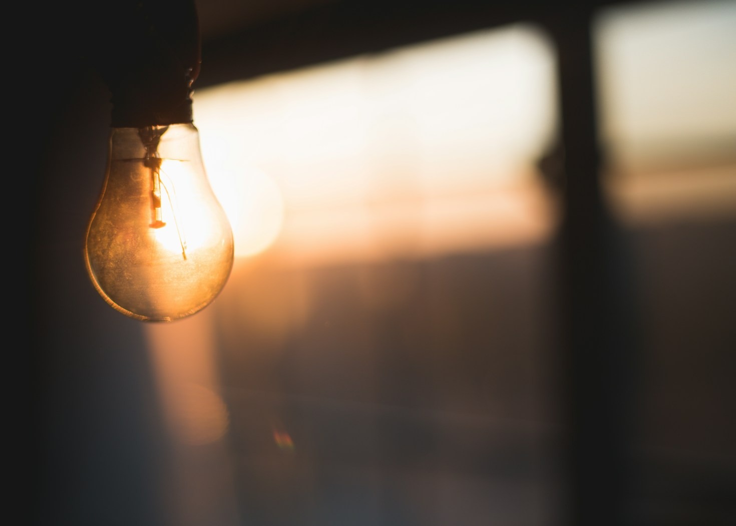 Navigating Contradictions in Intellectual Discourse